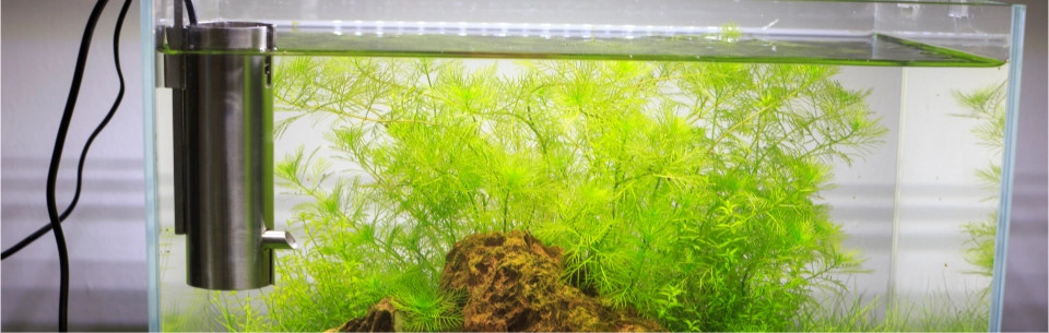 Profesionálne filtre pre akváriá