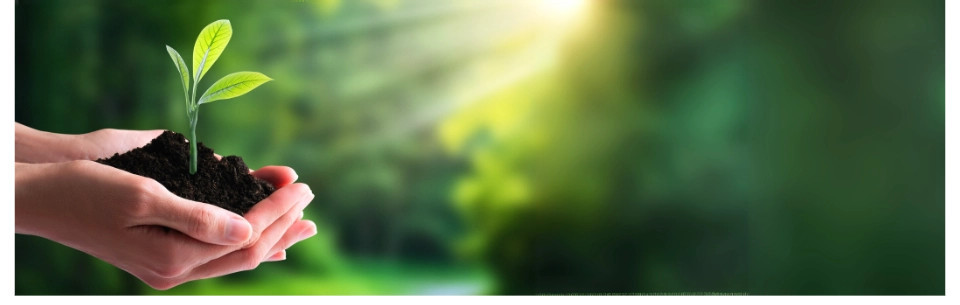 Eko prostriedky na upratovanie priestorov