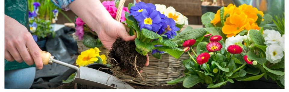 Baktérie na použitie v prírode a vonkajších priestoroch