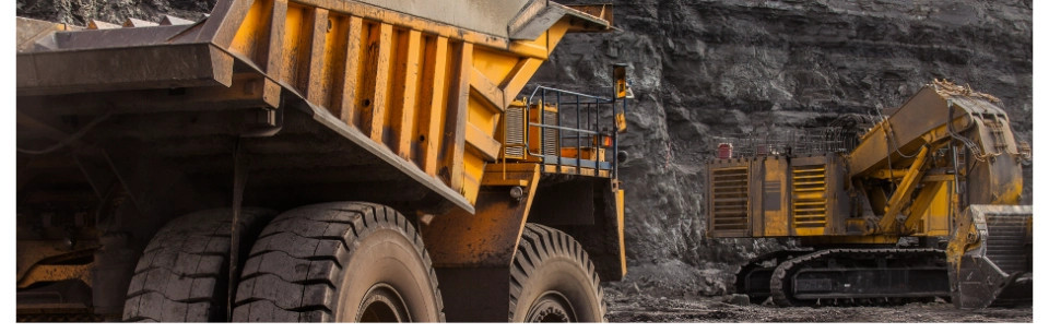 Baktérie na použitie v ľahkom a ťažkom priemysle