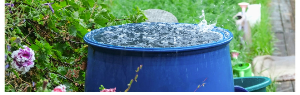 Baktérie na rozklad peľu v dažďovej vode