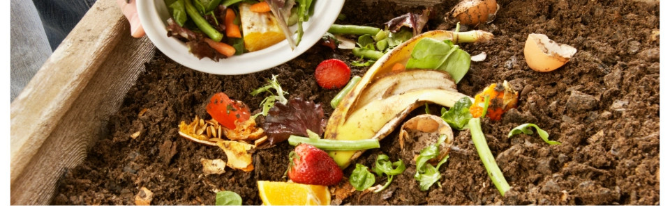 Baktérie na údržbu a založenie kompostu