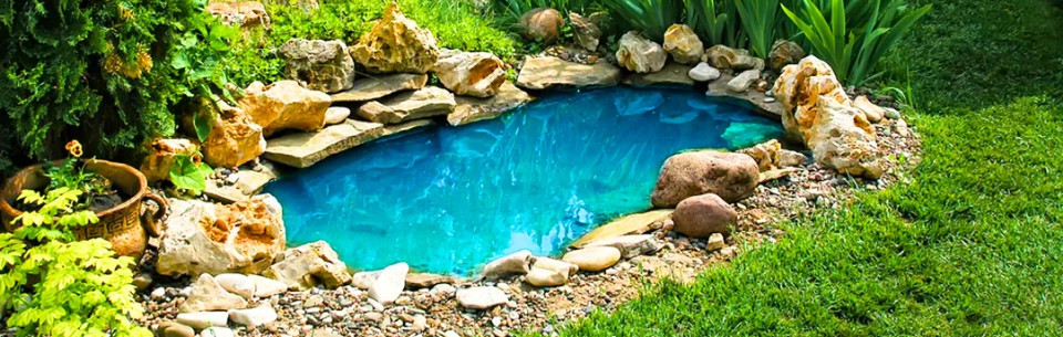 Živé baktérie do záhradných jazierok