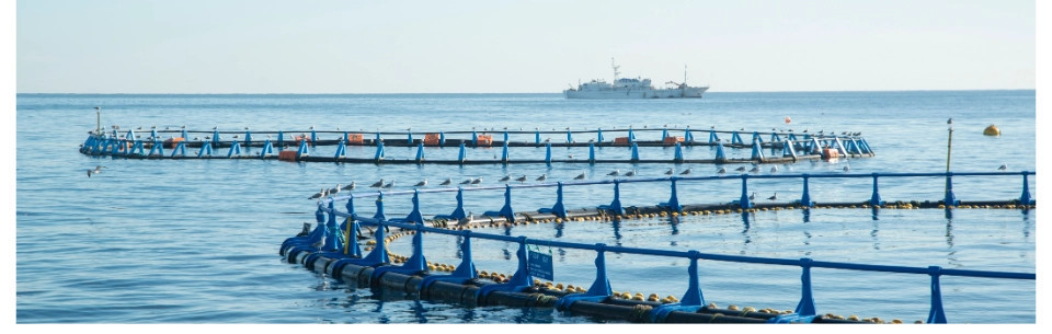 Baktérie pre akvakultúru a chov vodných živočíchov