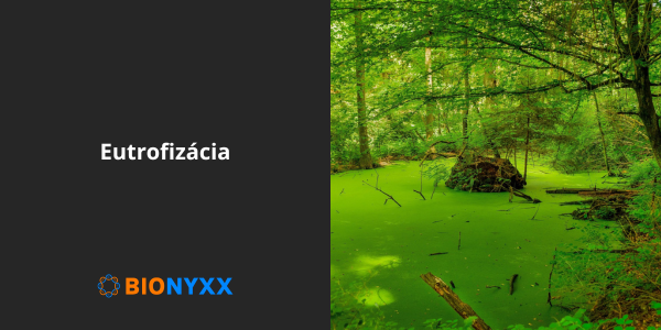 Eutrofizácia