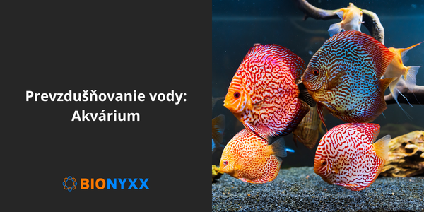 Prevzdušňovanie vody - Akvárium
