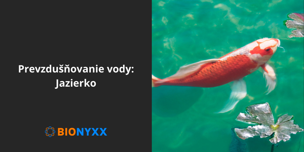 Prevzdušňovanie vody - Jazierko